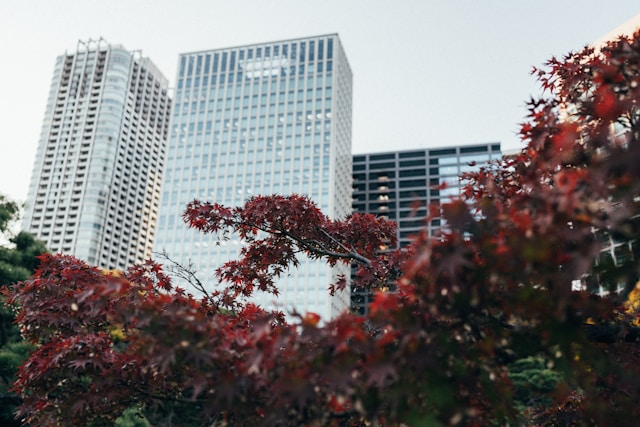 不動産売買仲介